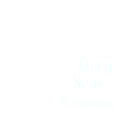 Fiery Seas Logo